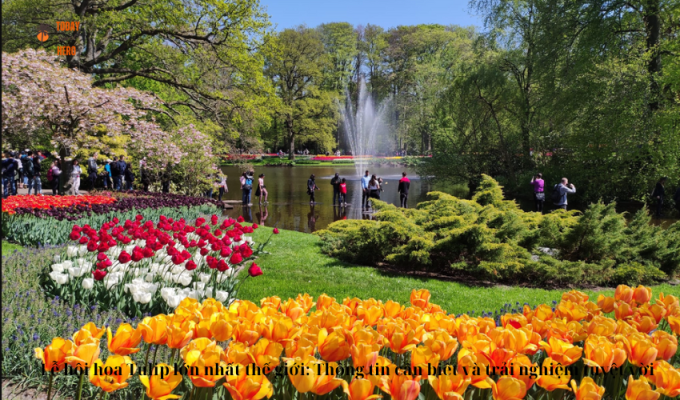 Lễ hội hoa Tulip lớn nhất thế giới: Thông tin cần biết và trải nghiệm tuyệt vời